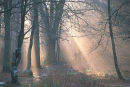 After the Rain